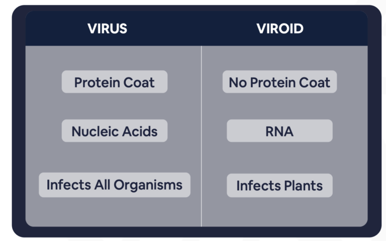 Hop Latent Viroid Symptoms