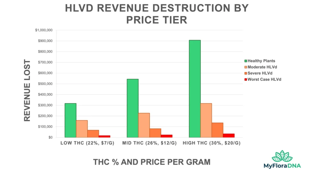 BAR CHART SHOWING HLVD CANNABIS REVENUE LOSS BY SEVERITY LEVEL AND PRICE TIER. ALL INFECTION SCENARIOS EXCEED 57% REVENUE DESTRUCTION. SOURCE: SCHWABE PHD 2026.